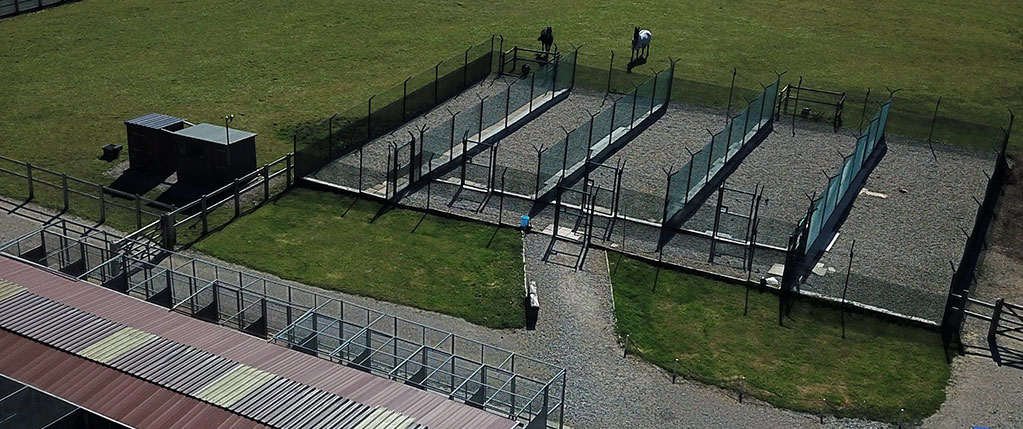 A view of the kennels