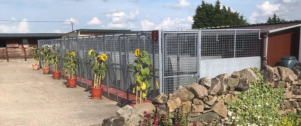 An external view of the kennels and cattery