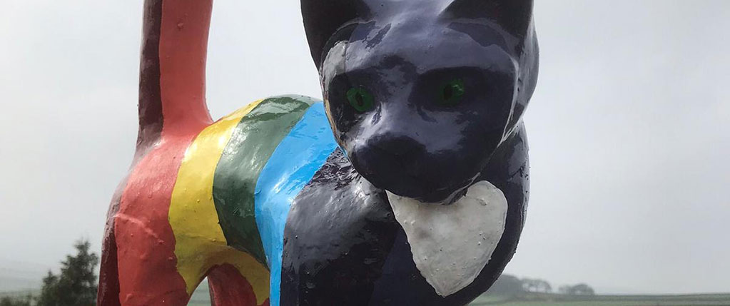 Our colourful cat mascot